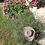 Feriehus Maison De Gardien , Manoir De Pichemont, » La Maison Des Ecureuils »