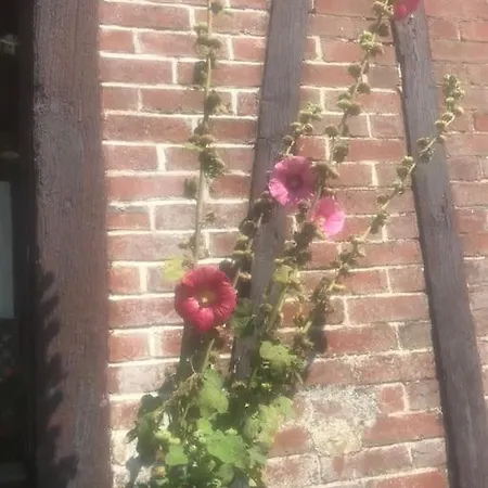 Maison de gardien , manoir de Pichemont,   la maison des écureuils  Harcanville