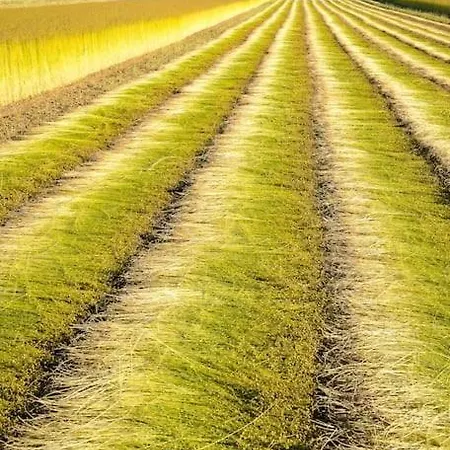 Maison de gardien , manoir de Pichemont,   la maison des écureuils  Σπίτι διακοπών Harcanville