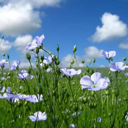 Holiday home Maison De Gardien , Manoir De Pichemont, » La Maison Des Ecureuils » *