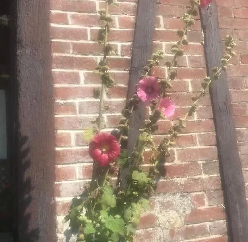 Maison De Gardien , Manoir De Pichemont, » La Maison Des Ecureuils » Harcanville