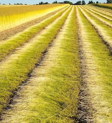 Maison De Gardien , Manoir De Pichemont, » La Maison Des Ecureuils » Tatil Evi Harcanville