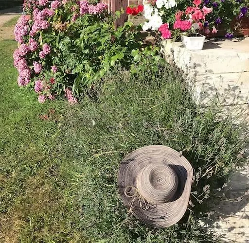 Tatil Evi Maison De Gardien , Manoir De Pichemont, » La Maison Des Ecureuils »