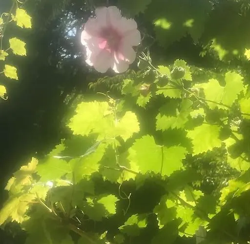 Maison De Gardien , Manoir De Pichemont, » La Maison Des Ecureuils » Holiday home